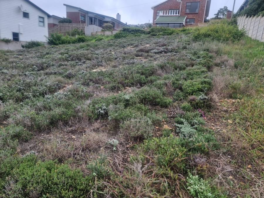 0 Bedroom Property for Sale in Dana Bay Western Cape